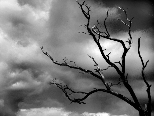 Music Affect Our Moods Black Cloud Barren Tree
